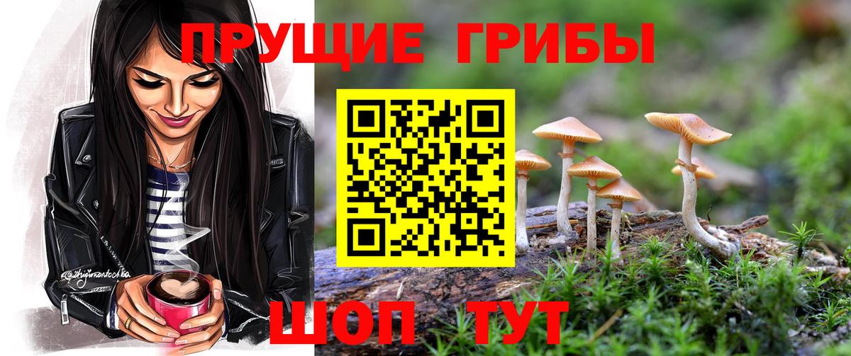 Галлюциногенные грибы GOLDEN TEACHER  Вход с VPN  Каменка 